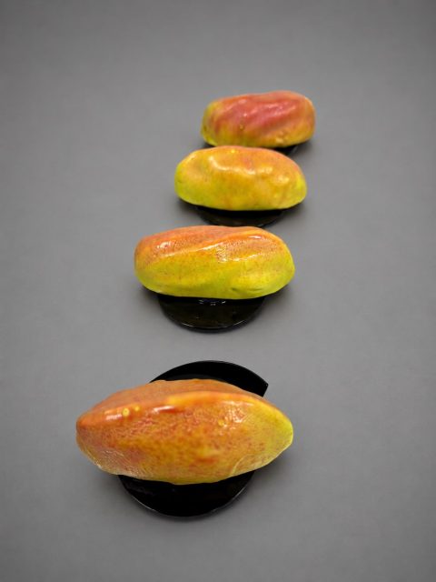 Groot Pistache Fruittaartje