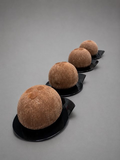 Kokos Fruittaartje