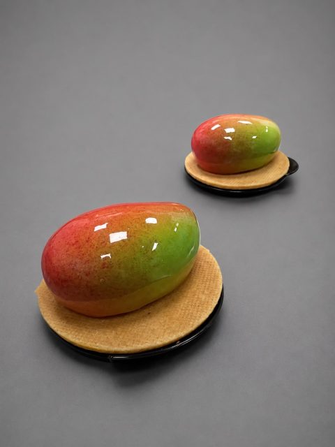 Mango Fruittaartje
