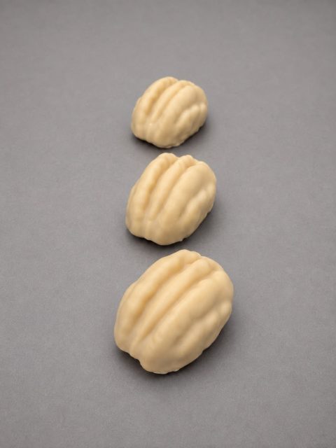 Walnoot Fruittaartje