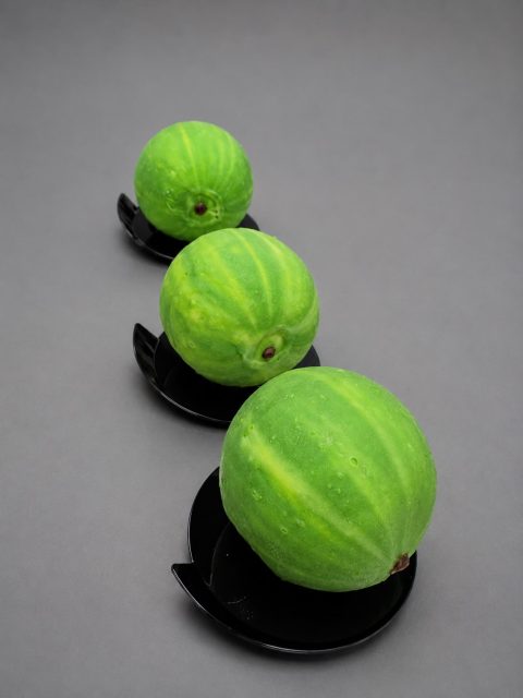 Watermeloen Fruittaartje